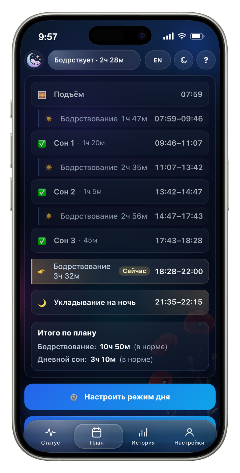 План дня и следующего укладывания